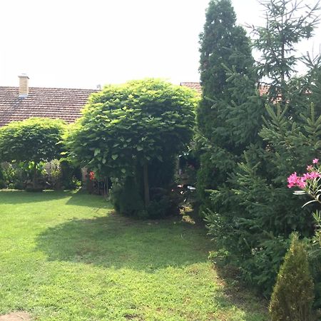 Villa Nirvana Palić Exteriör bild