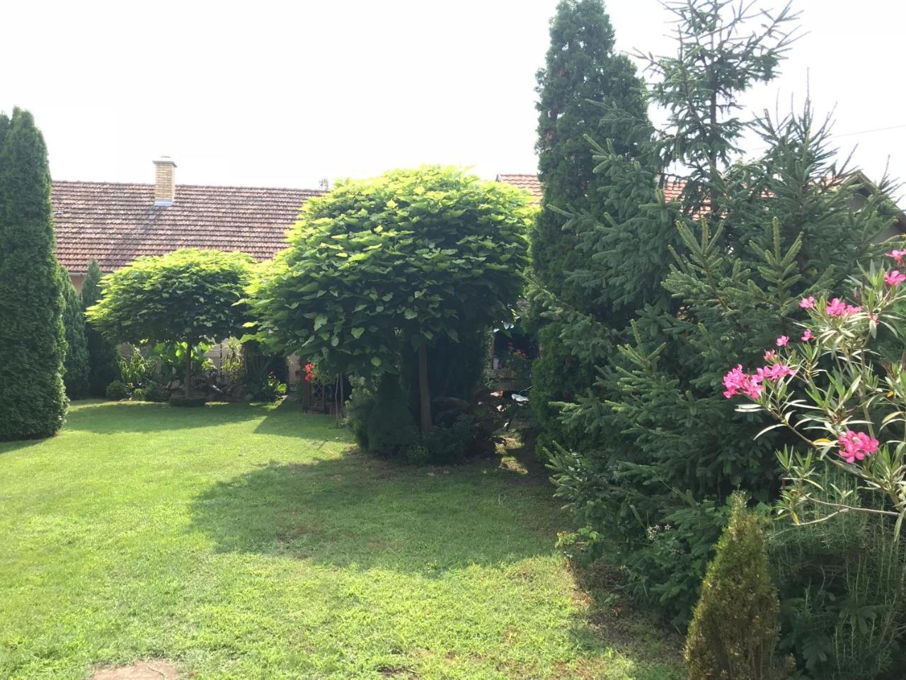 Villa Nirvana Palić Exteriör bild